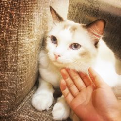 -匠之美甲美睫