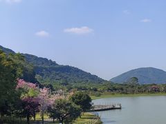 -风云岭森林公园