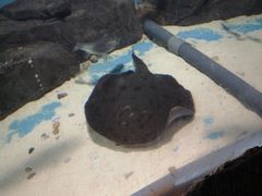 -苏州海洋馆