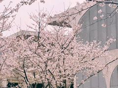 -龙美术馆(西岸馆)