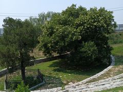 -马家湾湿地公园
