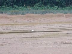 -福州海峡文化艺术中心