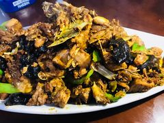-中原农家乐(中原饭店)