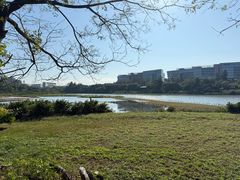 -华侨城湿地公园