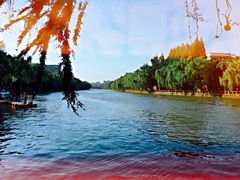 -运河游船(武林门码头)