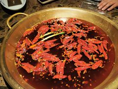 -小龙坎火锅(春熙太古里店)