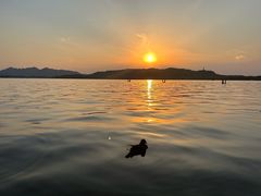 -西湖外事游船(湖滨二公园外事游船码头)