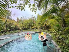 -碧桂园润杨溪谷温泉酒店