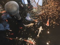 -阿里郎海鲜酒店
