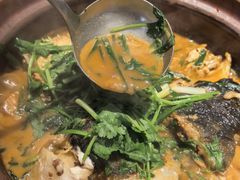 -九道菜有鸡鱼头(石鼓路店)