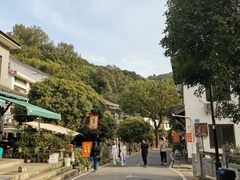 -龙井村