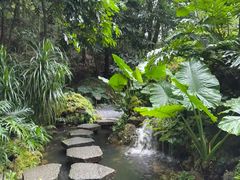 -深圳仙湖植物园