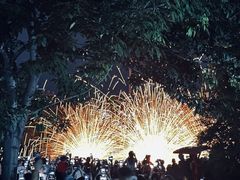 -哈尔滨文化公园