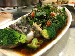 -邢家锅贴老店·非遗·开封菜(金明广场店)