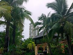 -亚马逊丛林水乐园