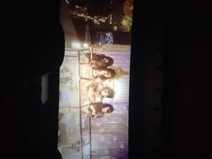 万达国际影城(锦华店)-万达影城(锦华万达广场IMAX店)