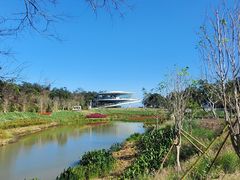 -梧桐山风景名胜区