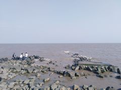 -南汇嘴观海公园