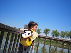 -天津东丽湖风景区