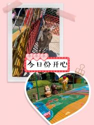 -萌宠亲子动物乐园(槐房万达店)