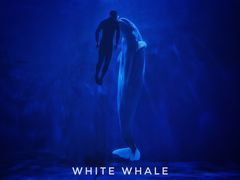 -多彩贵州城极地海洋世界