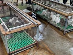 -史努比缤纷世界