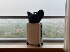 -上海浦东康桥绿地假日酒店