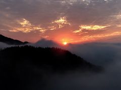 -紫鹊界梯田景区