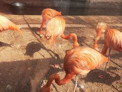 -鄂尔多斯野生动物园