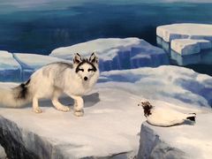 -陕西自然博物馆