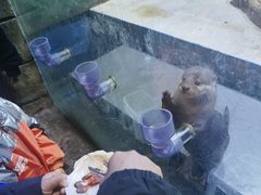 -华夏文旅海洋公园