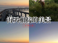 -星海湾跨海大桥