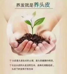 点击看大图 -诗碧曼养发