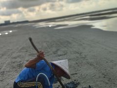-红树林天天赶海