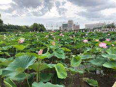 -长春世界雕塑园冰雪艺术天地