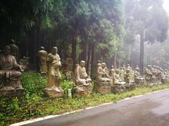 -武陵山森林公园