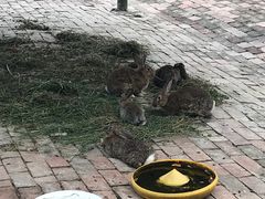 -金稼园·金平湖农家菜