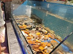 -曼格活海鲜·牛排自助(光明蓝鲸店)
