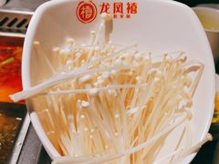 -龙凤禧毛肚火锅(阳光舜城店)