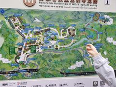 -野象谷景区