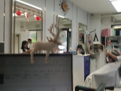 -东方美妍小鹏造型