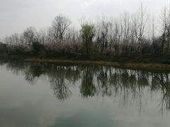 -白鹭湾湿地公园