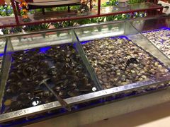 -蒙肥羊·酸汤潮牛·鲜牛肉火锅烤肉自助(岗顶店)