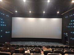 -深影国际影城(学院南路店CGS中国巨幕店)