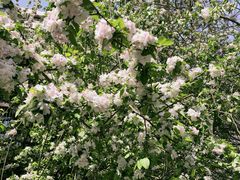 -天津水晶宫饭店