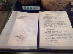 -河源客天下-温泉小镇