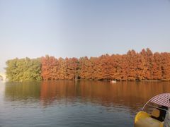 -上海海湾国家森林公园