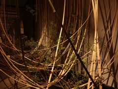 -璞素(浦东店)
