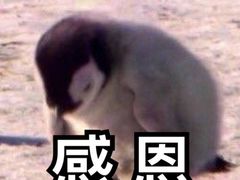 -冯鑫记南京鸭血粉丝汤(南京南站店)