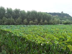 -渭南桃花源民俗文化园